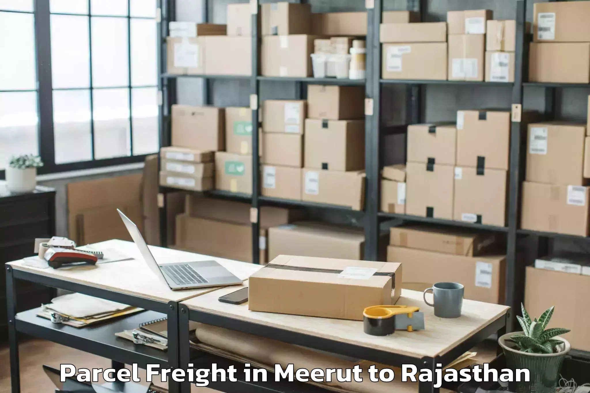 Expert Meerut to Pipar Parcel Freight